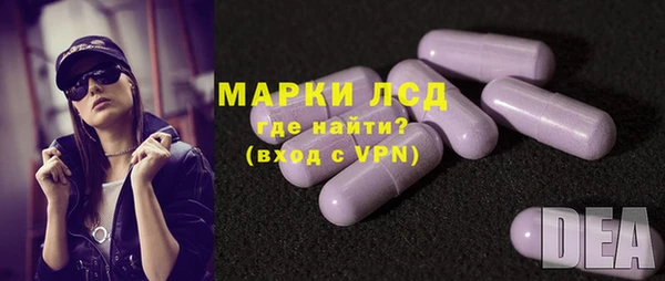 гашик Ельня
