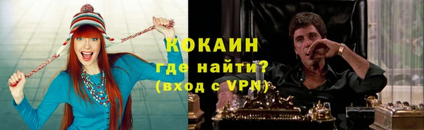 гашик Ельня