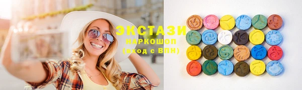 гашик Ельня