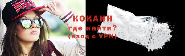 гашик Ельня