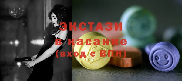 гашик Ельня