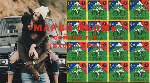 гашик Ельня