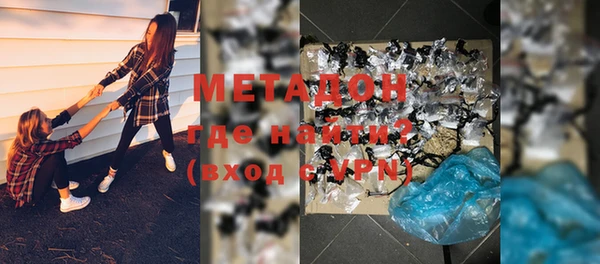 гашик Ельня