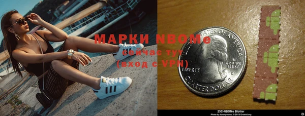 гашик Ельня