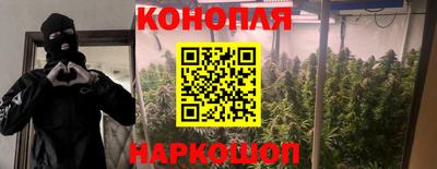 спиды Волгодонск