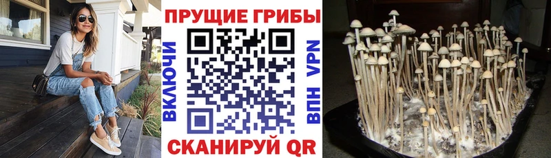 купить   hydra зеркало  Галлюциногенные грибы Cubensis  Лыткарино 