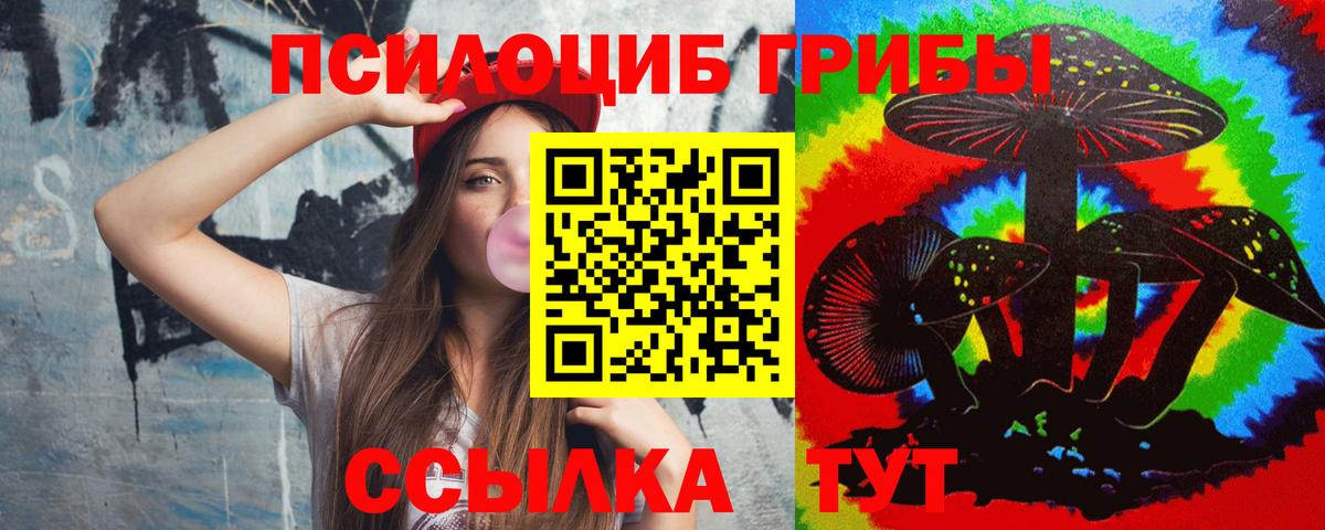 Псилоцибиновые грибы Psilocybine cubensis Лыткарино